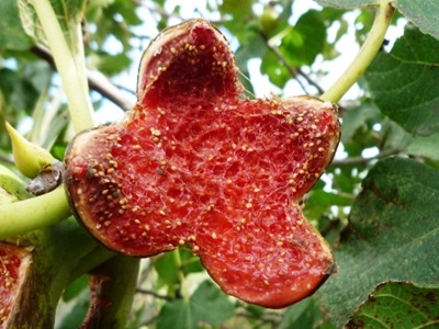P1050977