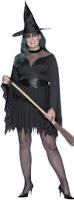 Plus Size Sexy Witch Costume