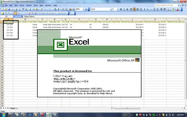 Microsoft Office Excel For Windows