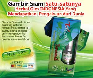 Gambir siam  gambir siam Kalimantan  gambir siam vs 