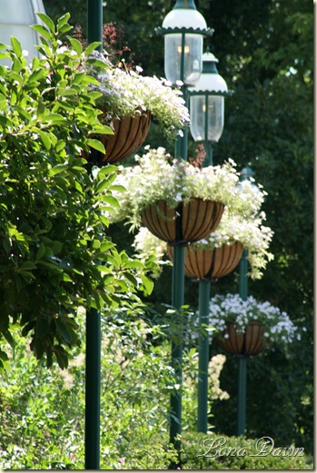 FPC_Lamps2_Aug18