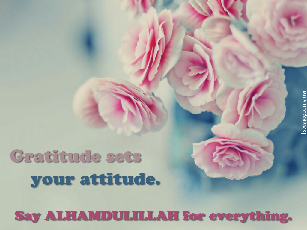 Islamic Quote: Say ALHAMDULILLAH for everything.