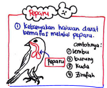 Crayon - Crayon Physics: PROSES HIDUP HAIWAN