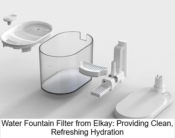 Water Fountain Filter from Elkay: Providing Clean, Refreshing Hydration