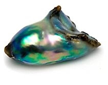 abalone pearl