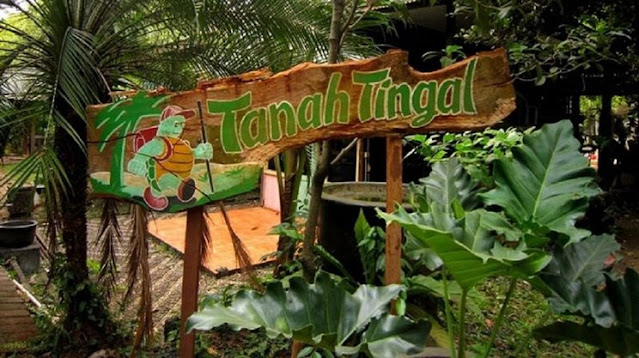 tanah tingal