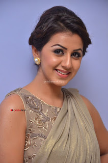 Nikki Galrani in Saree 058.JPG