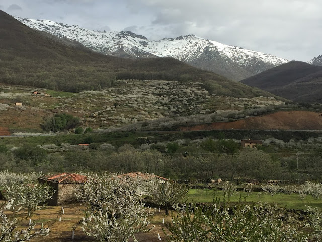 AlfonsoyAmigos - Valle del Jerte - Rutas MTB