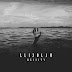 Llizolam - Reality (Single) [iTunes Plus AAC M4A]