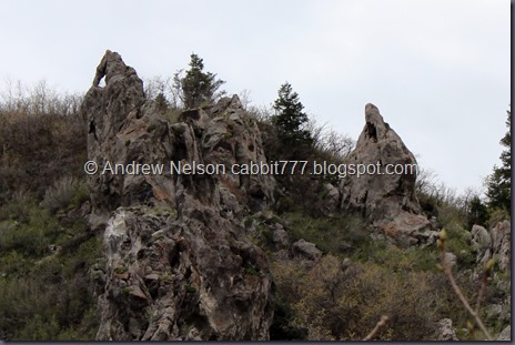 IMG_0317 - Copy