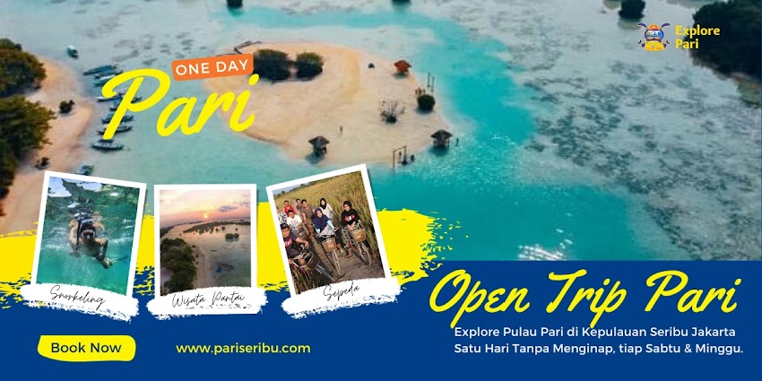 one day trip atau open trip satu hari pulau pari