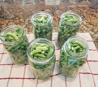 pressure canning green beans