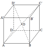 קובייה 'ABCDA'B'C'D , האלכסונים 'AC ו- 'BD חוצים זה את זה בנקודה O