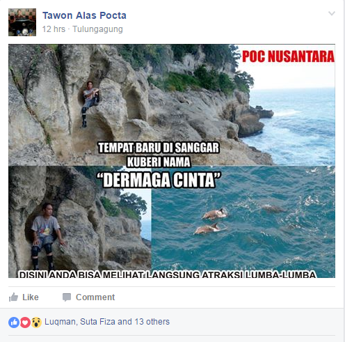 lokasi lumba-lumba pantai sanggar