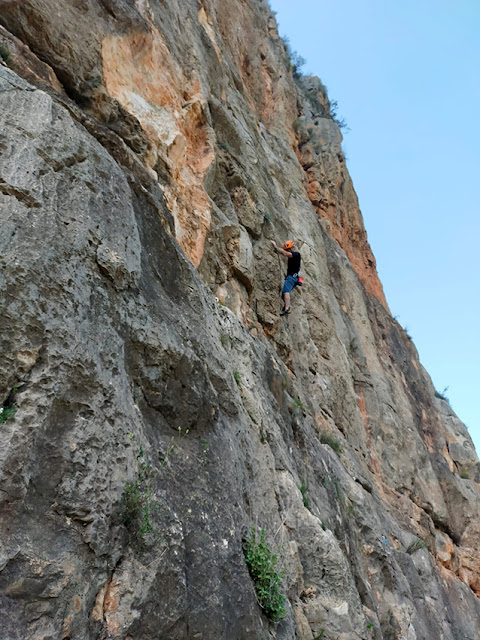 Dani Ponce en Blue Algave 7a