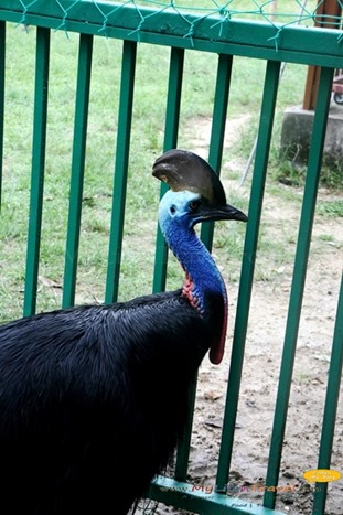 Langkawi