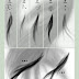 [FREE] Photoshop Hair Brush Set Download