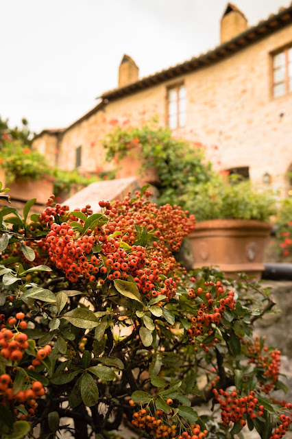 Relais Palazzo del Capitano, Tuscany, gardens