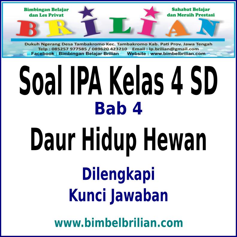 Soal IPA Kelas  4  SD  Bab 4  Daur  Hidup  Hewan  Dan Kunci 