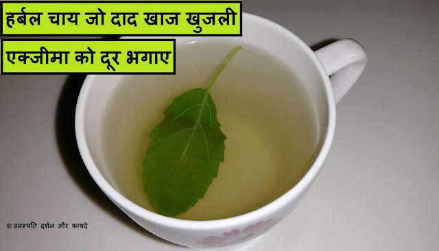 Herbal Tea that Treats Itch Ringworm Scabies Eczema Fast Naturally