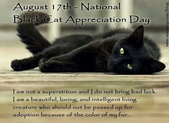 http://www.adoptapet.com/cat-adoption