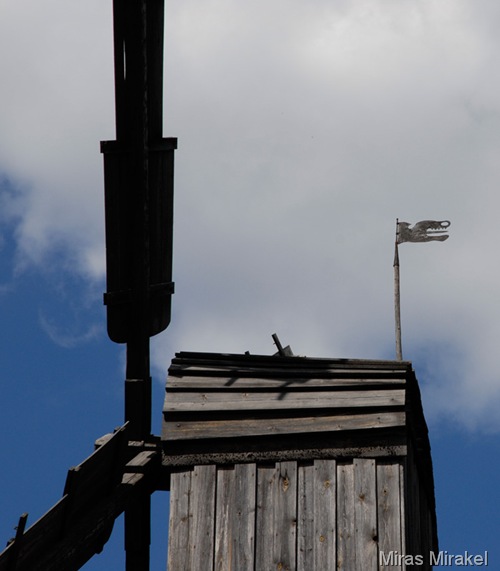 _DSC0389s