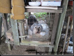 IMG_8753 copy