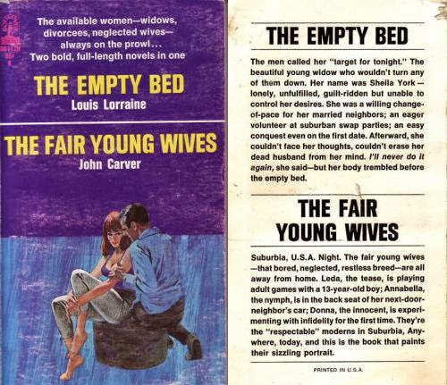 Vintage Reads 25 Even More Trashy Books