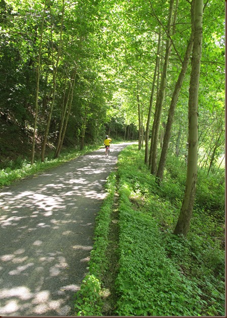 trail in sunlight