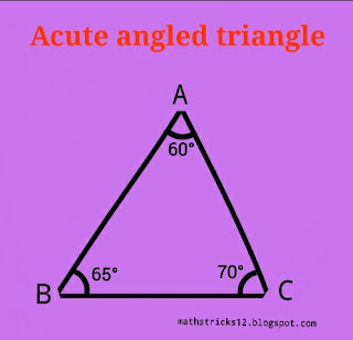 Acute angled triangle