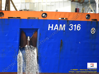 Ham 316