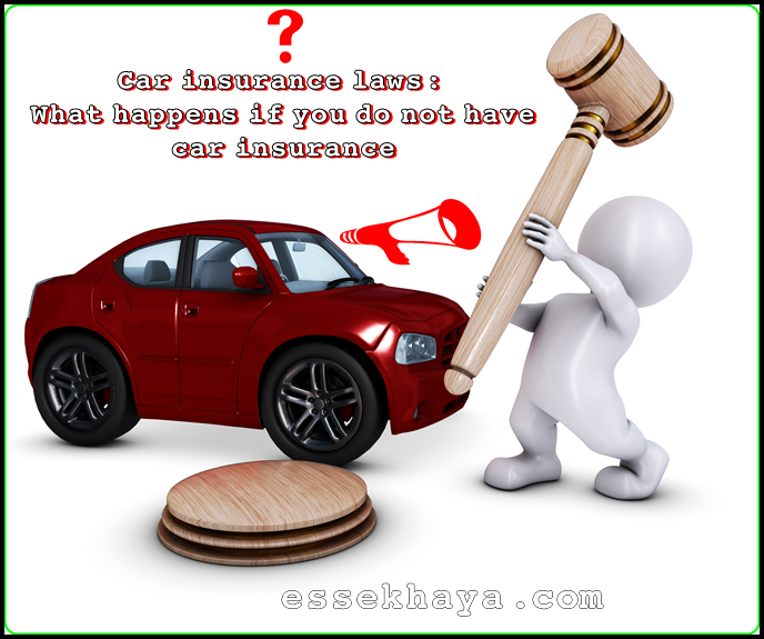 Car insurance laws: be protected and avoid getting caught without losses