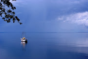 Rio Negro, Brasil. Click para agrandar. Info. Etiquetas: Brasil (rio negro)