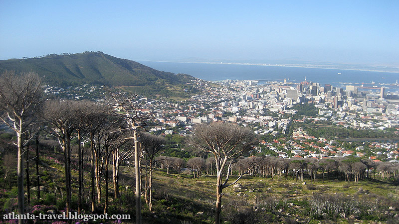 Table Mountain Столовая гора Кейптаун Cape Town