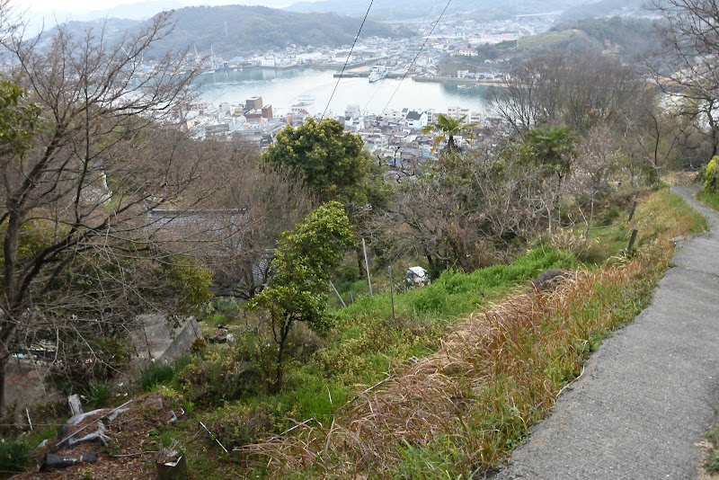 DSC_3010.JPG