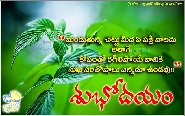 Good morning wishes in telugu about anger and patiency