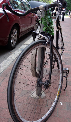 singlespeed bike with ferns wrapped around the head tube