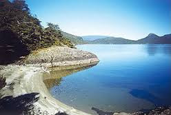 Visit cheap best hotel of New Zealand with luxurious comfort, explore New Zealand beach and have fun, love peace, drink  and fast