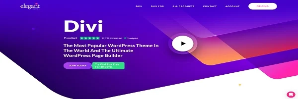 divi theme