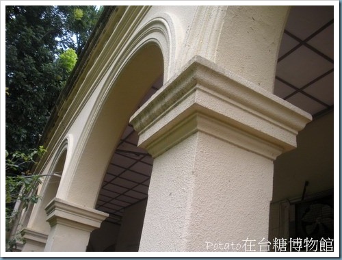 DSCN5246