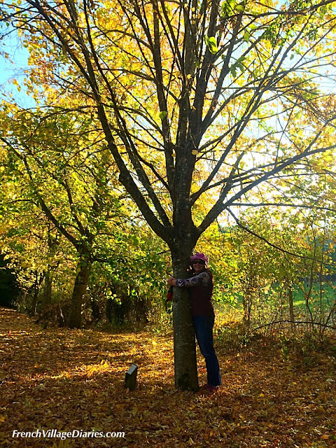 French Village Diaries Autumn colours Deux Sevres