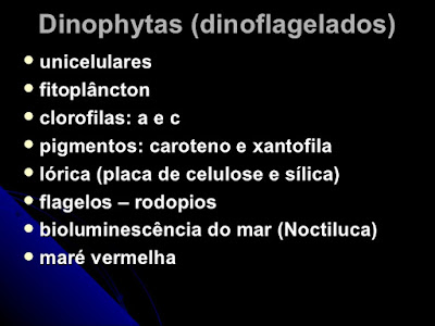 Protoctista 2: Algas