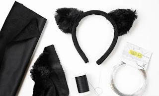 Cómo hacer un Disfraz de Gato Negro Fácil para Halloween