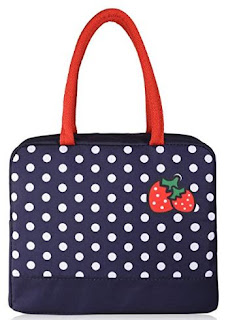 VARANO Insulated Lunch Box - Lunch Bag for Women and Girls/Large Capacity Adults Reusable Lunch Tote Cooler Organizer Bag (VAR-S1)