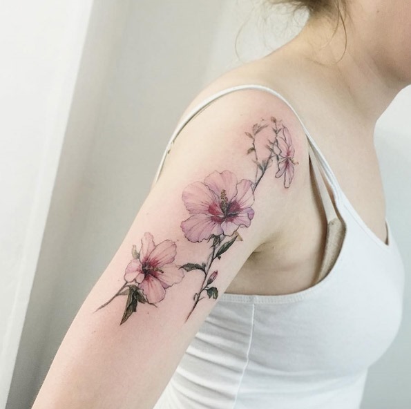 estes_lindos_florais