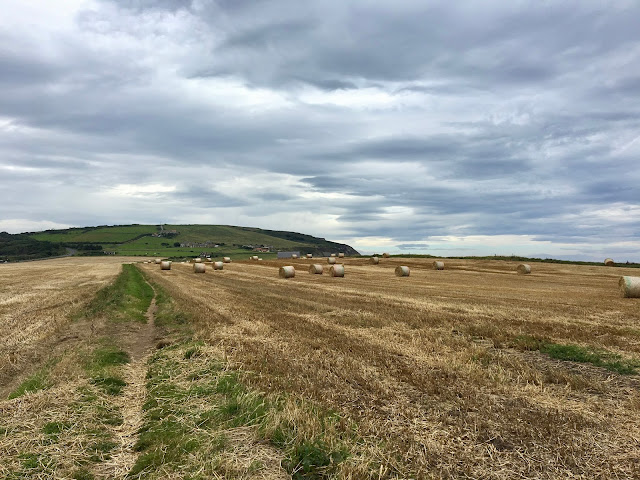 Boulby Cliff, Staithes, Cleveland Way Walking Trail, North Yorkshire