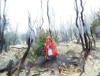 Hutan Mati Gunung Papandayan