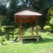View album