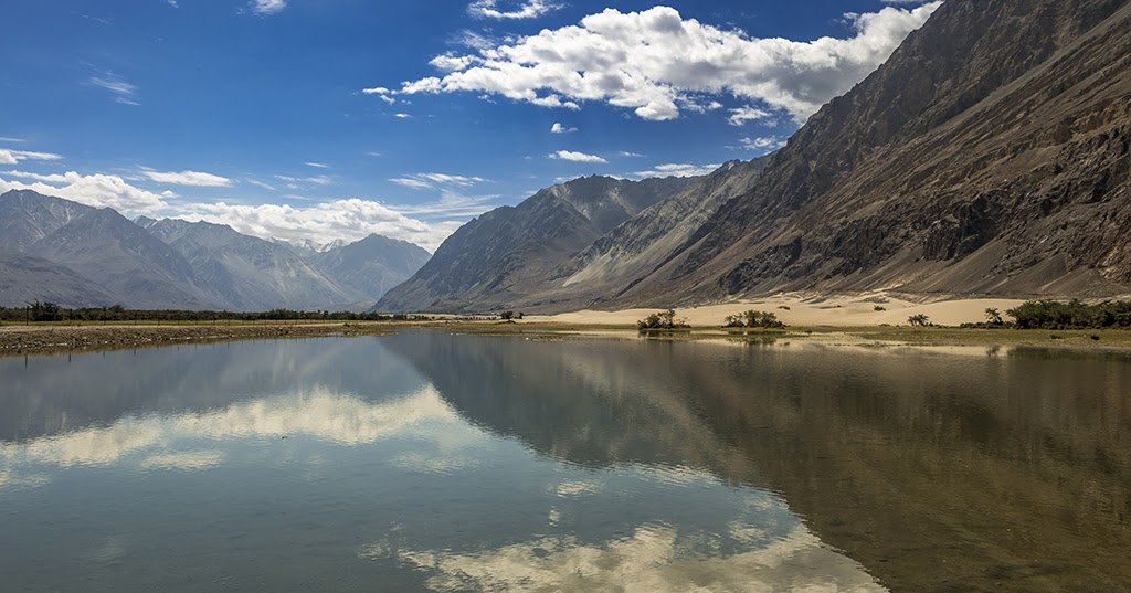 The Concrete Paparazzi: Ladakh Travelogue Part 4: Nubra Valley