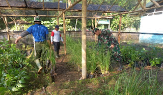 Sektor-11 Satgas Citarum Harum Giat Pembuatan Tempat Penyimpanan Bibit